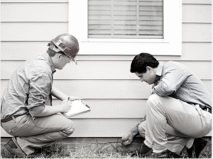 building and pest inspector